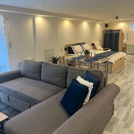 Tres Bel Appartement Type Loft De 40 M2 Dans Maison Avec Parking Privatif Lingolsheim Exterior foto