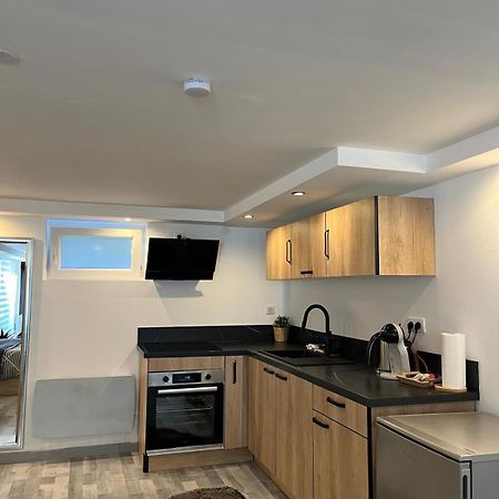 Tres Bel Appartement Type Loft De 40 M2 Dans Maison Avec Parking Privatif Lingolsheim Exterior foto