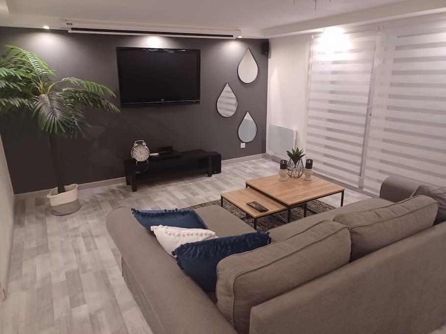 Tres Bel Appartement Type Loft De 40 M2 Dans Maison Avec Parking Privatif Lingolsheim Exterior foto