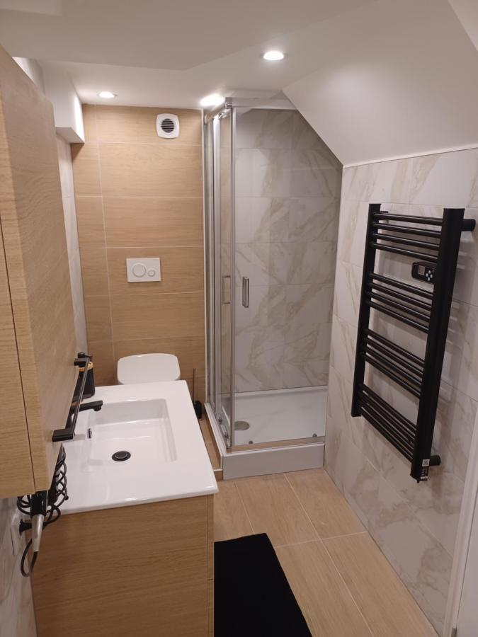 Tres Bel Appartement Type Loft De 40 M2 Dans Maison Avec Parking Privatif Lingolsheim Exterior foto
