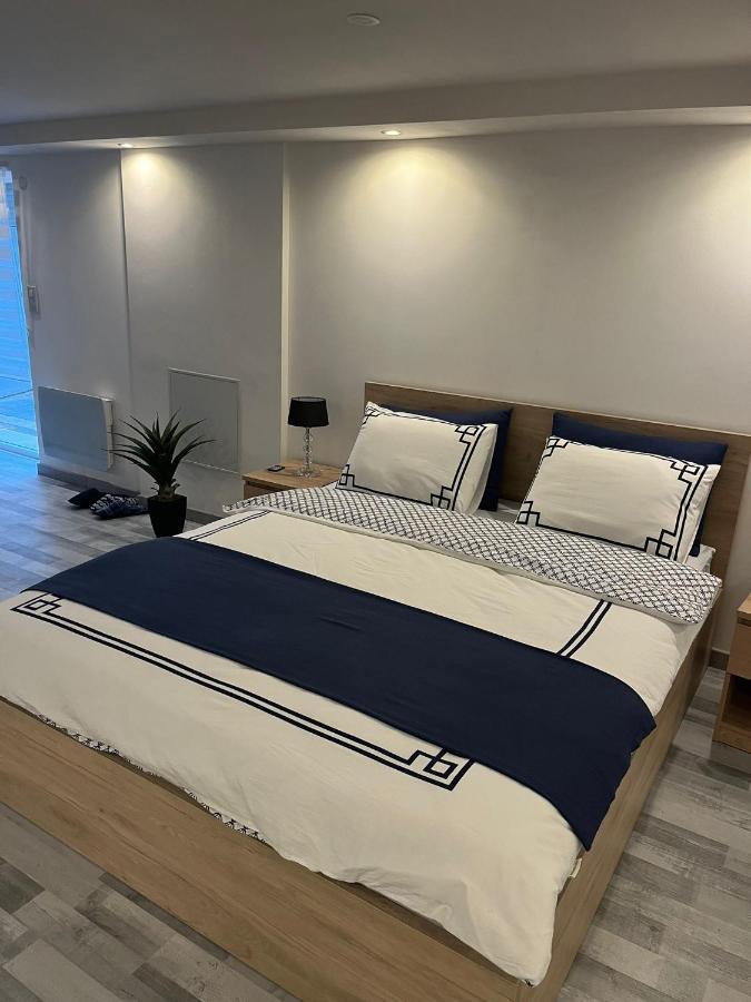 Tres Bel Appartement Type Loft De 40 M2 Dans Maison Avec Parking Privatif Lingolsheim Exterior foto